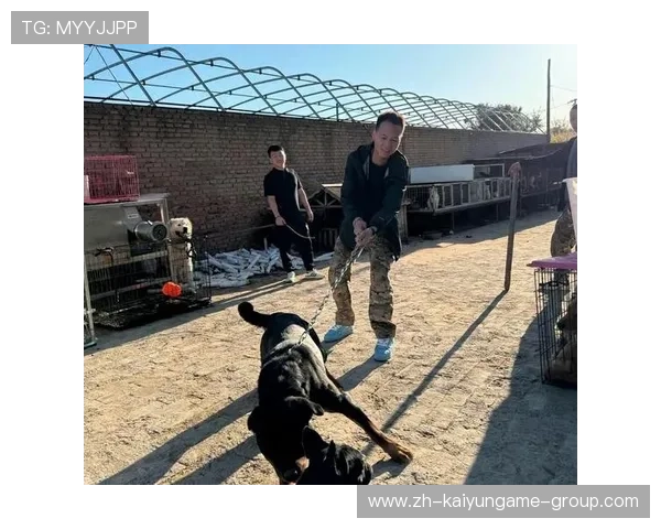 是谁为校园安全事故买单?原总务主任案再起争议,校园安全事件处理办法